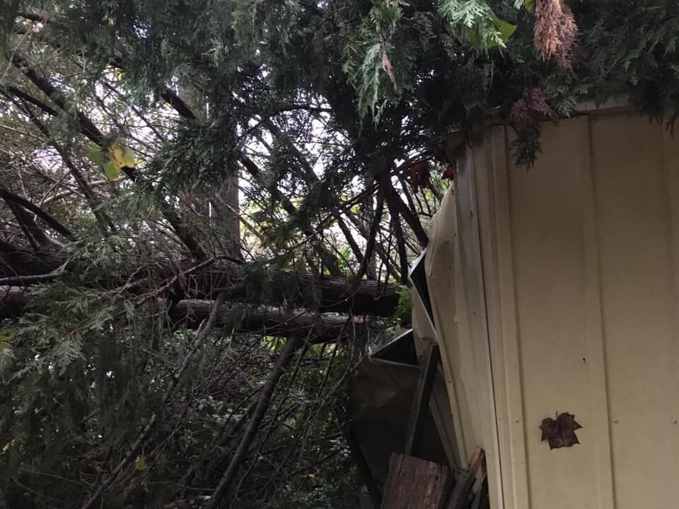 Tropical_Storm_Zeta10.jpg